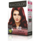 SeaColor Hair Color 55.46 AMAZON RED